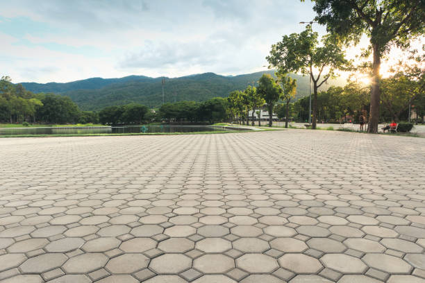 Residential Paver Driveway in Archie, MO